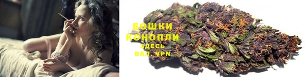 СК Мегион