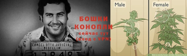 СК Мегион