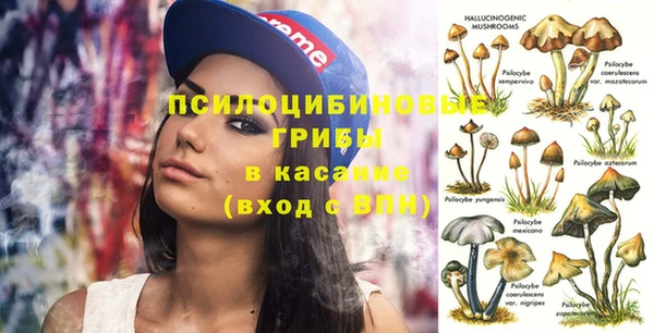 сатива Магадан