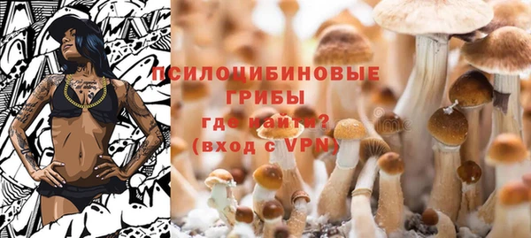 сатива Магадан