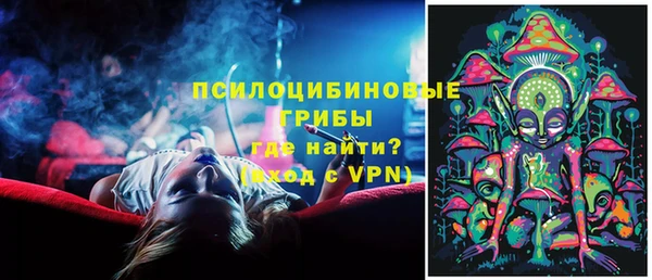 сатива Магадан