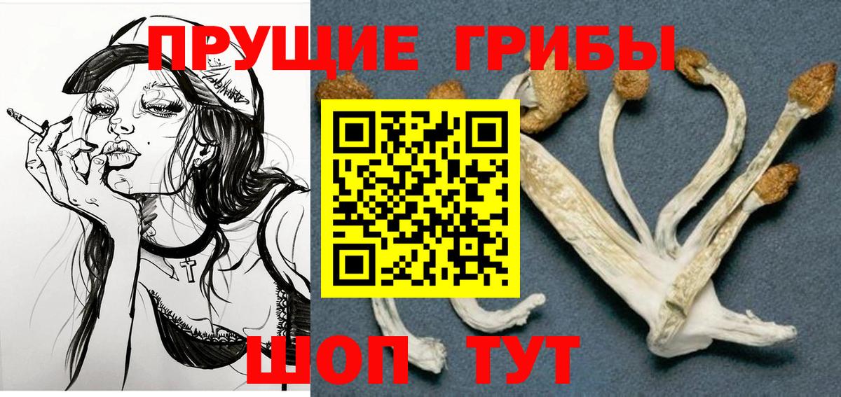 Псилоцибиновые грибы GOLDEN TEACHER Мценск