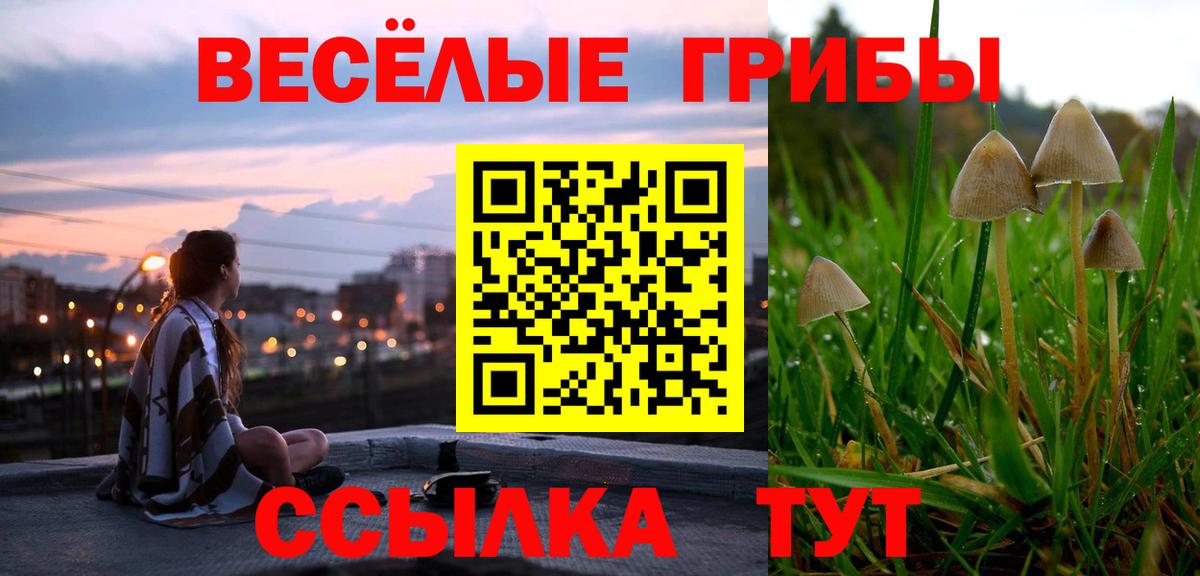Мценск  Псилоцибиновые грибы Psilocybine cubensis  Вход с VPN 